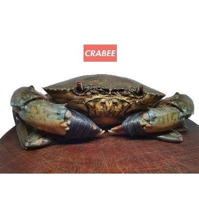 Crabee's Live crabs (300-400g) unpicked (20kg) (1 Units Per Carton)