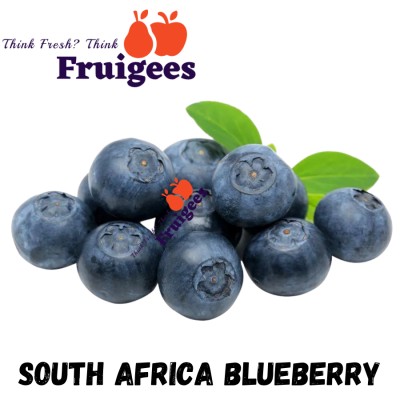 SOUTH AFRICA BLUEBERRY