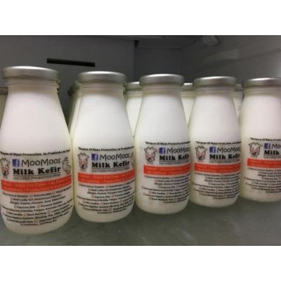 MooMoos Cow's Milk Kefir (300ml Per Unit)