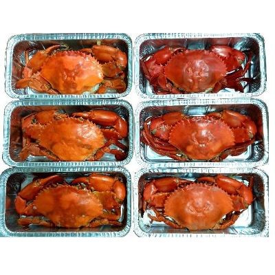 Crabee's Delicious Steamed Crabs (3 Units Per Outer)