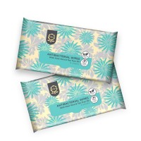 EVELYN - ABW-E08 Antibacterial Wipes