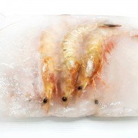Frozen Big Prawn Size-XL Sea Caught 500g pack