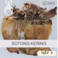 Giant (L size) Sotong Kering Gred A ( 1KG)