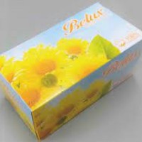 Belux Pulp Facial Tissue Box (2 Ply) - 200's