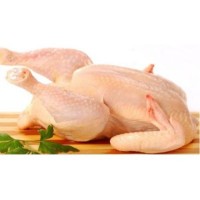 Village Chicken Rooster ( Whole ) (Sold Per KG)