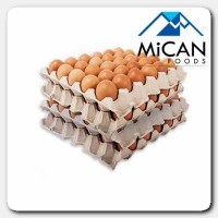 Chicken Egg [Grade A, XL] / Telur Ayam (30 pcs tray)
