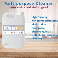 KleenUp Home Cleaning Detergent Concentrate 800mL