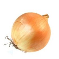Yellow Onion (sold by kg)