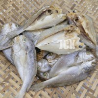 Ikan Kering Masin Gelama Belah [Tawar] Tempatan, Dried Salted Fish [1KG Per Pack, 10KGS Per Carton]