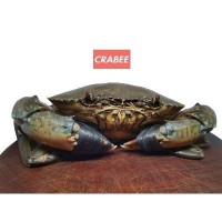 Crabee's Live crabs (300-400g) picked (20kg) (1 Units Per Carton)