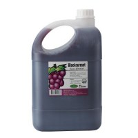 Concentrated Fruit Juice - Black Currant (1 Litre Per Unit)