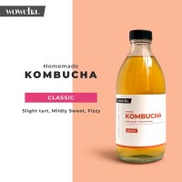 WOWCHA Homemade Kombucha Drink Tea X 12 - 300ml each