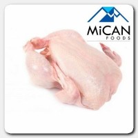 Chicken [Whole Bird] / Ayam [Satu Ekor] (1KG Per Unit)